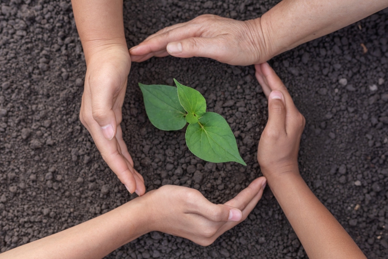 Direito Ambiental